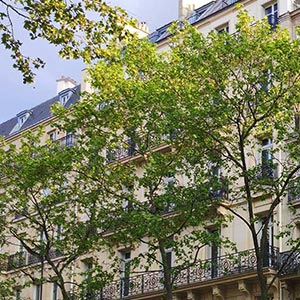 Best Family Friendly Hotels in Paris